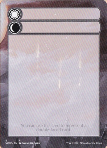 Double-Faced Substitute Card (5)